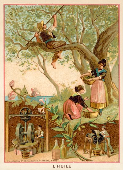 Olio d