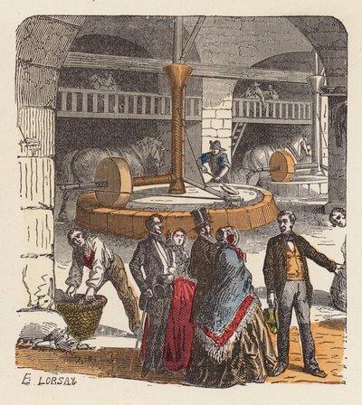 Produzione di olio d
