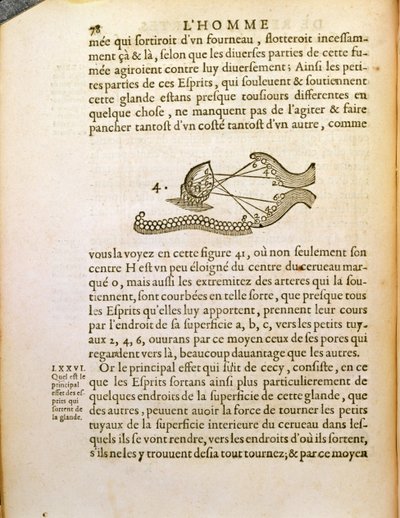 Diagramma ottico, da De Homine Figuris di René Descartes pubblicato a L