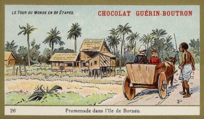 Giro in carro di buoi sull