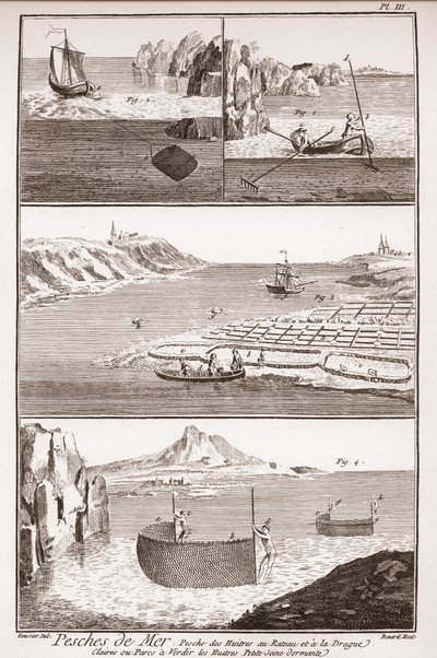Pesca delle ostriche - 