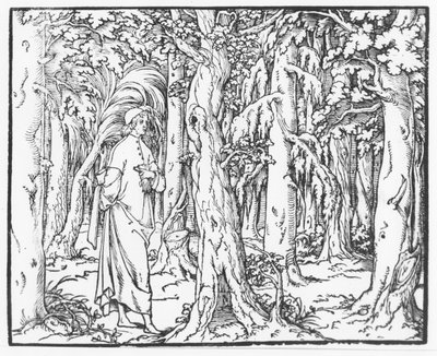 Pagina da "Discours du Songe de Poliphile", di Francesco Colonna, 1546 da French School