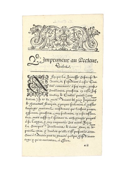 Pagina da 