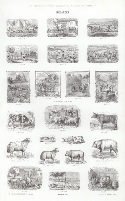 Pagina da Vignettes Typographiques da French School