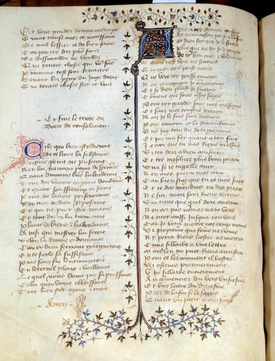 Pagina tratta dal manoscritto 