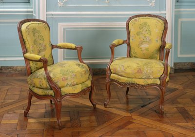 Coppia di poltrone Luigi XV, 1723-74 da French School