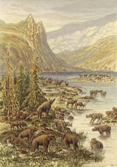 Paesaggio d