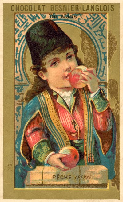 Pesche dalla Persia da French School