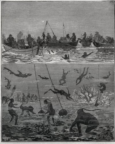 Pescatori di perle a Ceylon (attuale Sri Lanka) nel XIX secolo. Incisione del 1885 in "Les arts et métiers illustrés" di Adolphe Bitard da French School