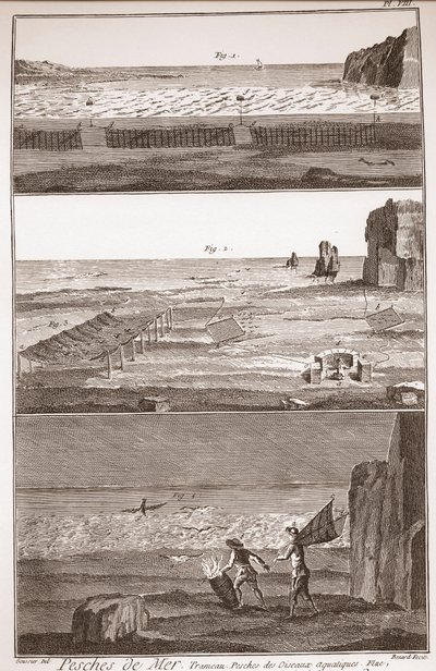 Pesca di mare - Trameau - Pesca di uccelli acquatici - "The Great Encyclopedie, ou Dictionnaire Raisonne des Sciences, des Arts et des Metiers" (Enciclopedia o Dizionario delle Scienze, Arti e Professioni) di Denis Diderot (1713-1784) e Jean d