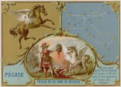 Pegaso da French School