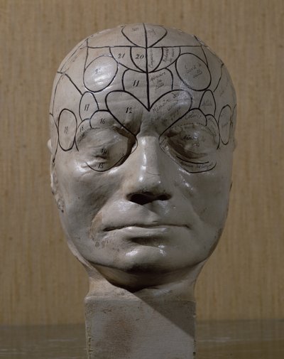 Testa frenologica di Jean Martin Charcot da French School
