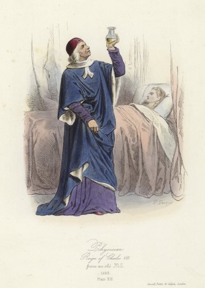 Medico, regno di Carlo VIII di Francia da French School