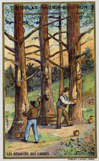 Raccoglitori di resina di pino nelle Landes, Francia da French School