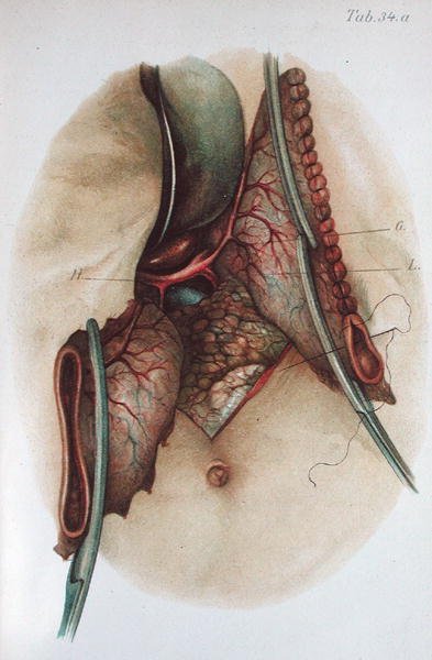 Tavola da 