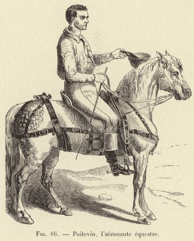 Poitevin, l