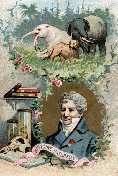 Ritratto del Barone Georges Cuvier, zoologo e paleontologo francese (1769-1832), fondatore dell