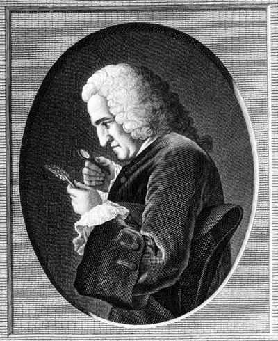 Ritratto di Bernard de Jussieu da French School