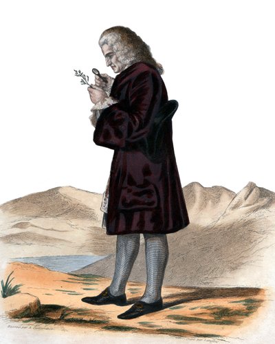 Ritratto di Bernard de Jussieu, naturalista francese da French School