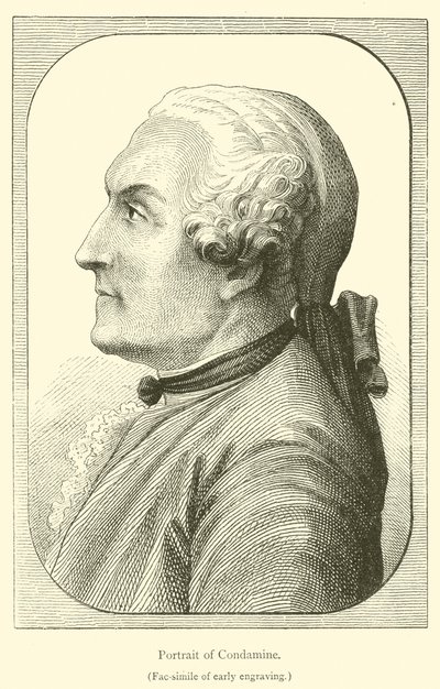 Ritratto di Condamine (incisione) da French School