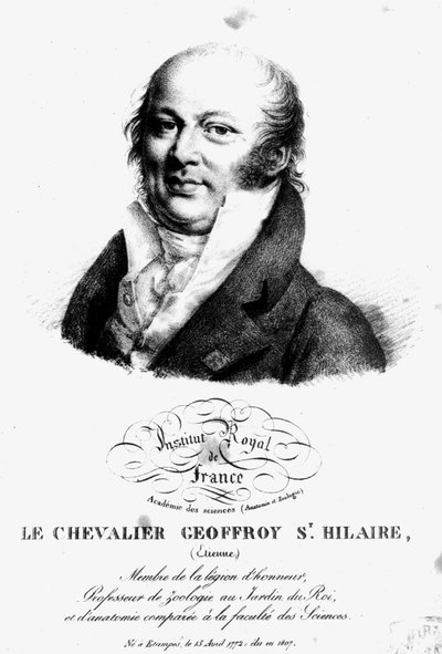 Ritratto di Etienne Geoffroy Saint-Hilaire (1722-1844) da French School