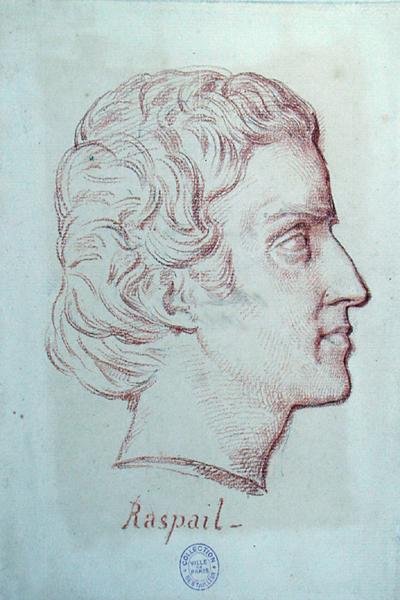 Ritratto di Francois Vincent Raspail (1794-1878) da French School