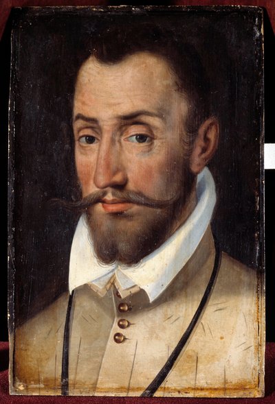 Ritratto di François de Coligny, signore di Andelot, colonnello generale della fanteria (1521-1569). Dipinto della scuola francese da French School
