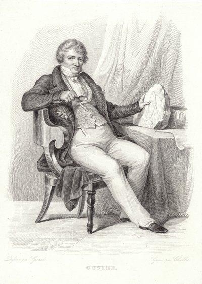 Ritratto di Georges Cuvier da French School