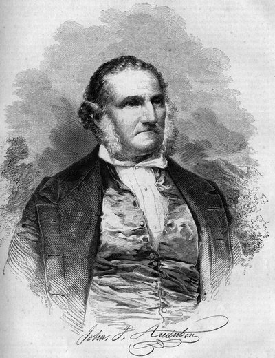 Ritratto di John James Audubon (1780-1851), ornitologo americano. Incisione in 