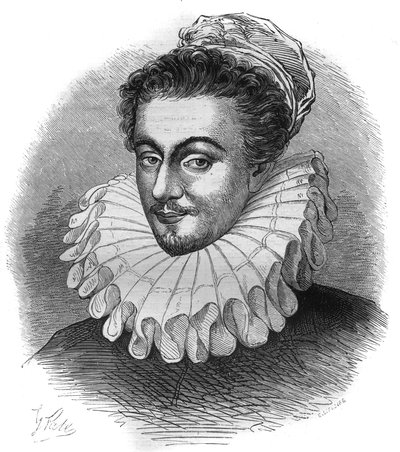 Ritratto del Cavaliere Carré, Ambasciatore d