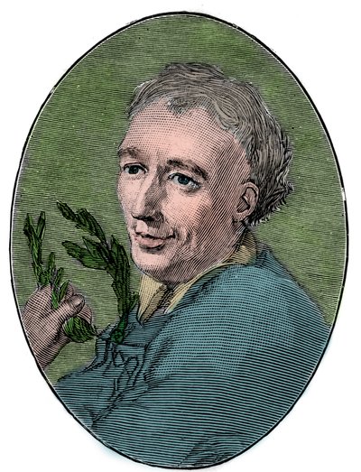 Ritratto di Laurence Eusden (1688-1730) da French School