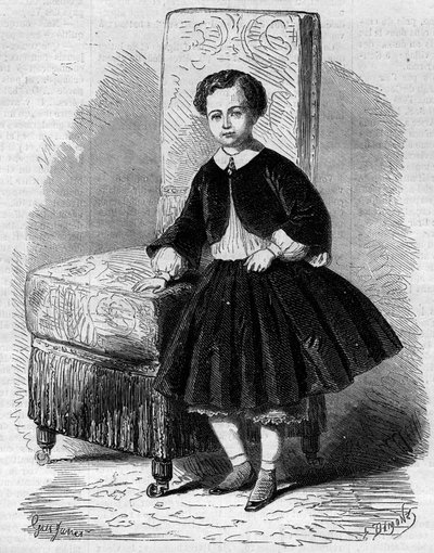 Ritratto di Napoleone Eugenio Luigi Giovanni Giuseppe Bonaparte (1856-1879), noto come Principe Imperiale, figlio di Napoleone III. Incisione in "Le Monde Illustré" n°137 del 26 novembre da French School