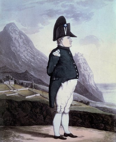 Ritratto di Napoleone I (1769-1821) sull
