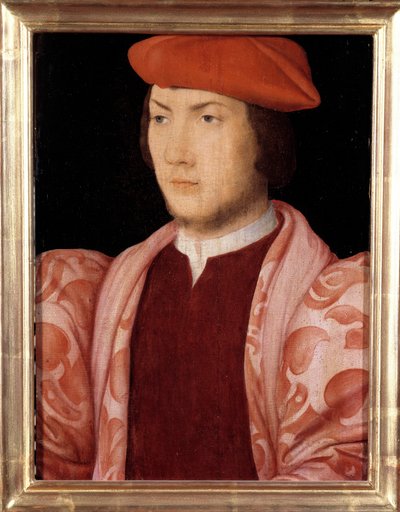 Ritratto di Odet de Coligny, cardinale di Chatillon nel 1534 (figlio di Gaspard de Coligny, Maresciallo di Francia e fratello dell