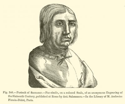 Ritratto di Sannazaro (incisione) da French School