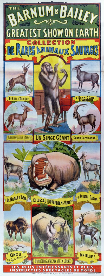 Poster pubblicitario della Collection de Rares Animaux Sauvages per il circo Barnum e Bailey da French School