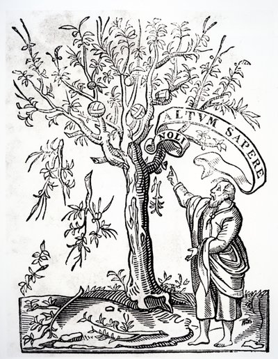 Emblema del tipografo di Robert Estienne, Parigi, 1526 da French School