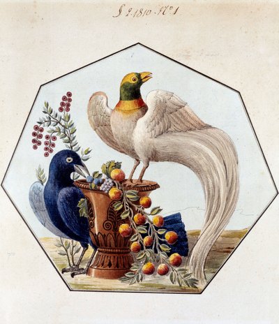 Progetto per il tavolo degli uccelli in porcellana di Alexandre Brongniart. 1810 Sèvres, archivi della Manifattura di Sèvres da French School