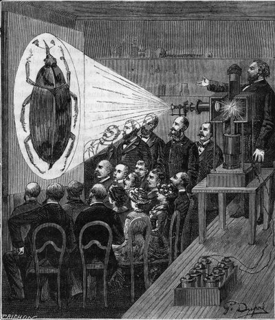 Esperienza di proiezione usando il microscopio fotografico elettrico (lanterne di proiezione di Jules Duboscq) - Incisione in "Scienze alla portata di tutti - Fisica e chimica popolare" di Alexis Clerc - Fine XIX secolo - Collezione privata da French School