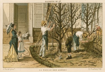 Potatura degli alberi da French School