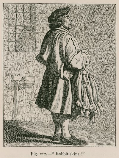 Pelli di coniglio da French School