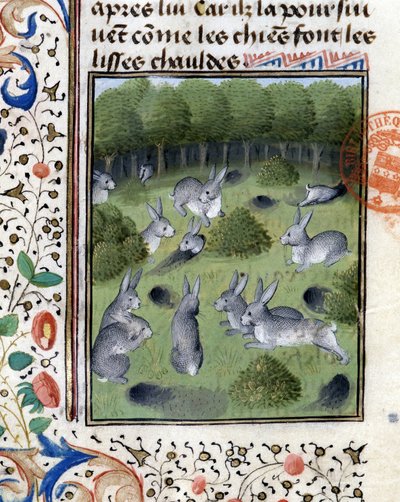 Conigli - nel "Libro di Caccia di Gaston Phoebus, Conte di Foix, Signore di Béarn" da French School