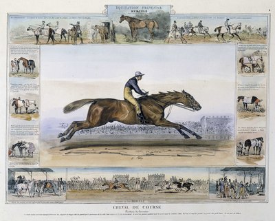 Cavallo da corsa in “Storia pittoresca dell
