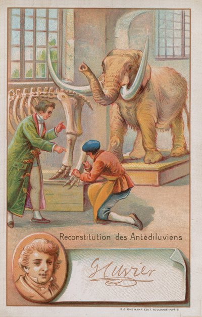 Ricostruzione del periodo antidiluviano di Georges Cuvier, naturalista e zoologo francese (1769-1832) da French School