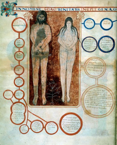 Rappresentazione di Adamo ed Eva, i medaglioni rossi rappresentano la linea di Caino, distrutta dal Diluvio. Miniatura che illustra i commenti di 