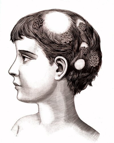Tigna su bambino. 1887 (incisione) da French School
