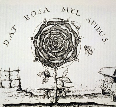 Allegoria Rosacrociana, copia di un