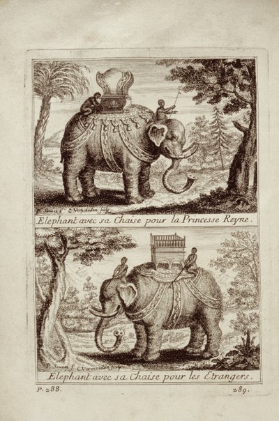 Elefanti reali, da Voyage du Siam des Peres Jesuites di Guy Tachard, 1688 da French School