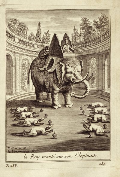 Elefanti reali, da Voyage du Siam des Peres Jesuites di Guy Tachard, 1688 da French School