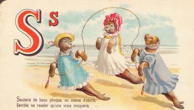 Sauté di bel foca, o anche di foche, sembra rivelare solo una vera presa in giro da French School